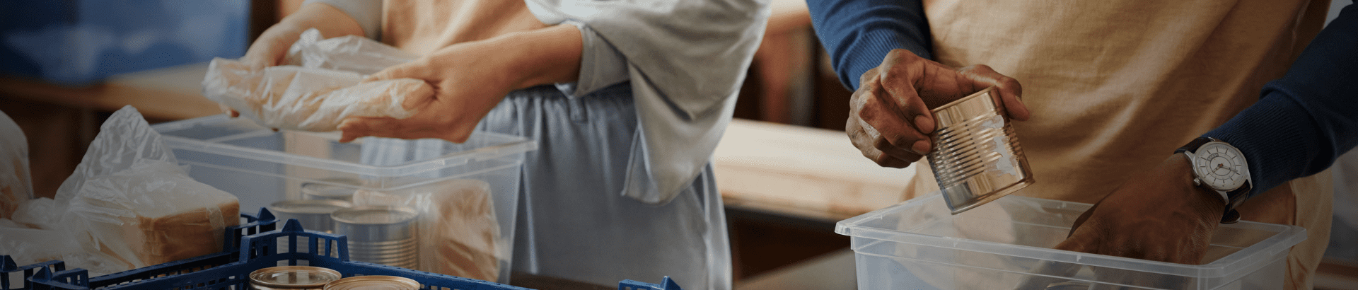 Perfect Diet & Meal Plan- A Complete Course